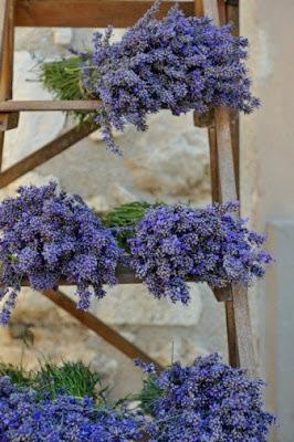 Lavanda...deco