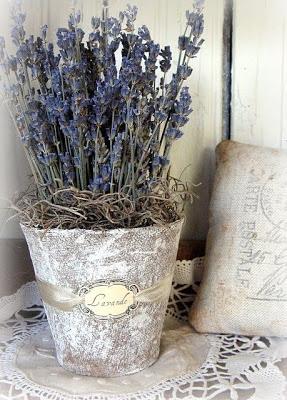 Lavanda...deco - Paperblog