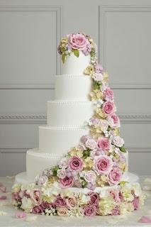 *Imágenes de la semana*