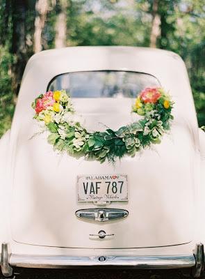 *Imágenes de la semana*