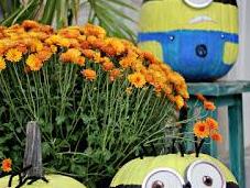 Hacer minions para fiesta