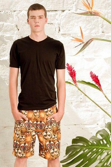 Ana Arango Design Pájaros - Búhos 