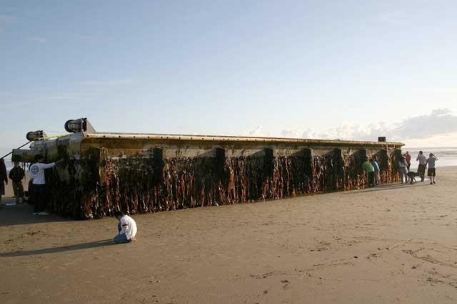muelle del tsunami de Japón encallado en Oregón