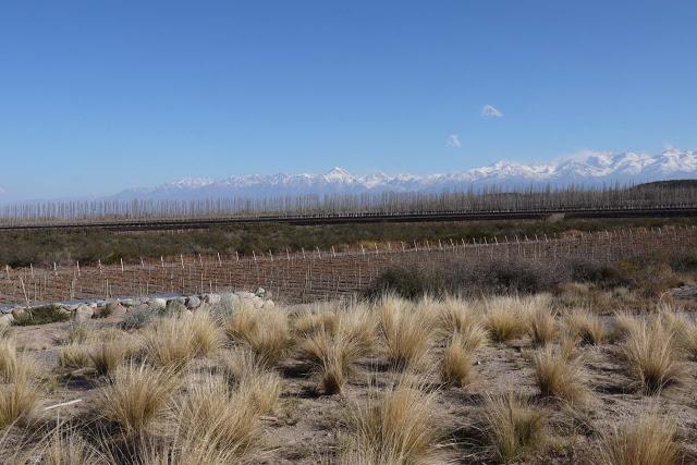 Postales de un viaje inolvidable por el Valle de Uco
