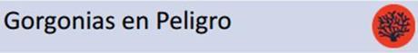 Proyecto “Observadores del Mar” (Barcelona, España) gorgonias en peligro c
