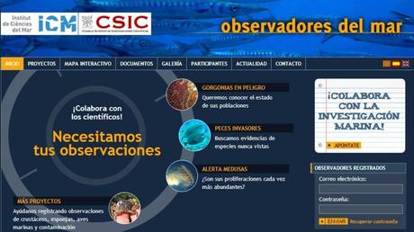 web observadores del mar c