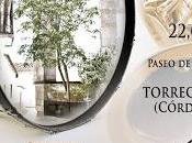 Banda Municipal Música Almadén participa Certamen Bandas Villa Torrecampo