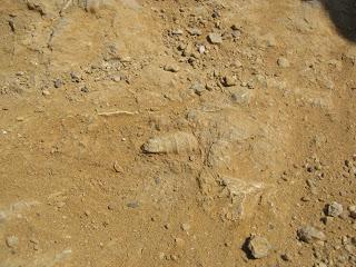 PARACAS, PARACAS, COMO ME GUSTA ESA CIUDAD!!!