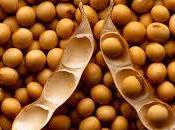 Mejora salud próstata