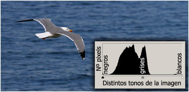 Capítulo 3 - Conceptos básicos - Parte 1
