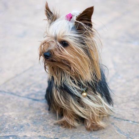 Recap Of The Week XLVII