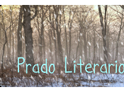 ¡¡Nuevo Concurso participo!!