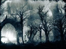 No te hagas ilusiones...