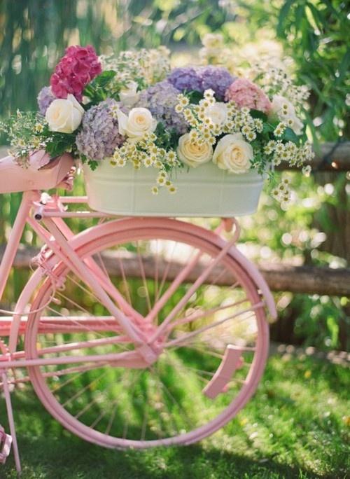 bici-rosa