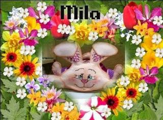 Trabajos en goma eva