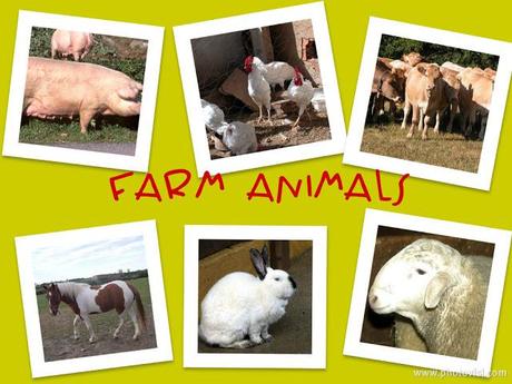 Los nombres de los seres vivos, el problema de la designación