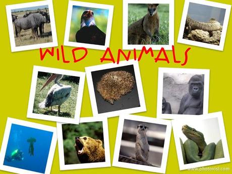 Los nombres de los seres vivos, el problema de la designación