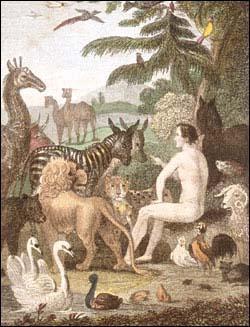 Los nombres de los seres vivos, el problema de la designación