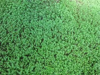 ¿Por que no te decides?