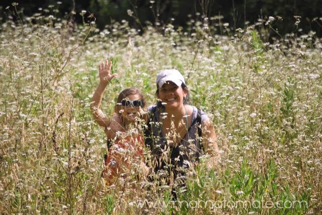 Salir con niños. De caminata por la Naturaleza