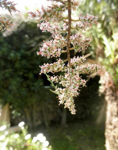 HOY COMPARTIMOS... ME LO CONTÓ MI ABUEL@