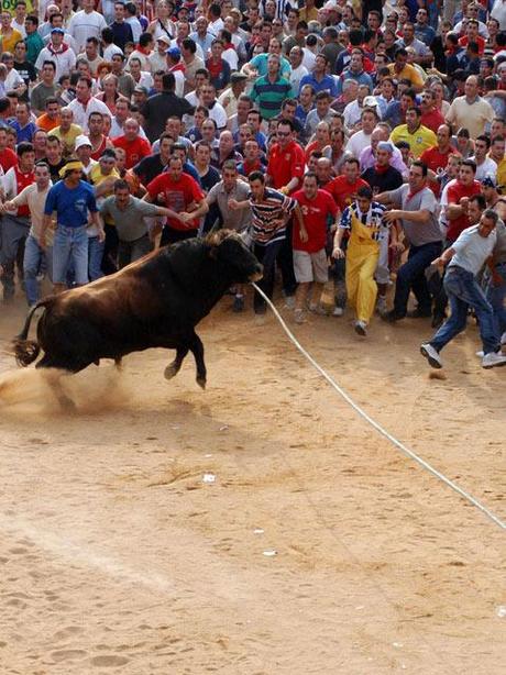 Como la Vida misma: Los festejos populares más deleznables de nuestra querida España