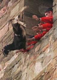 Como la Vida misma: Los festejos populares más deleznables de nuestra querida España