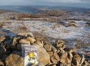 Bookcrossing