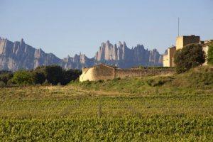 Vistas a Montserrat desde la bodega