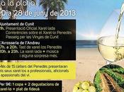 Primera Xarel.lada Playa, Junio Cunit