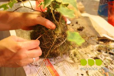 Taller de kokedama con algún contratiempo pero con final feliz