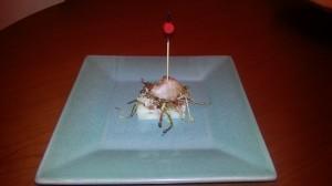 MONTAJE FINAL 1 David Sangüesa – Concurso Julio