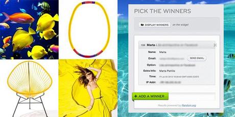 Summer party at Dawanda!! winner