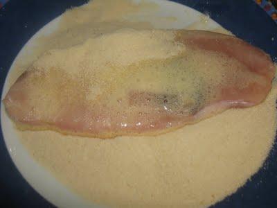 Filete de marrajo en tomate