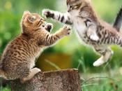 errores bloguero: Error resolver problemas inquinas personales blog