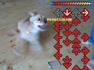 Imagenes cachondas XXI