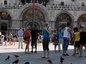 Animales Venecia
