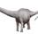 Amphicoelias fragillimus