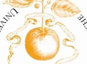 Curso internacional vinos Piamonte