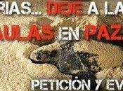 Parque Nacional Marino Baulas peligro degradacion