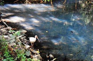 De mal en peor en áreas protegidas