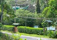 Carlsberg viola varias leyes ambientales