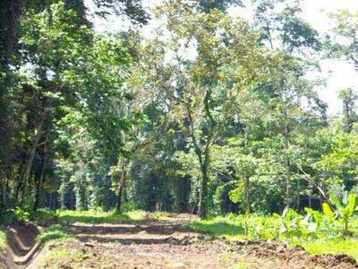 Definición de un humedal