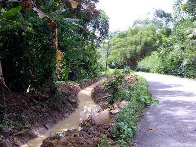 Definición de un humedal Definición de un humedal