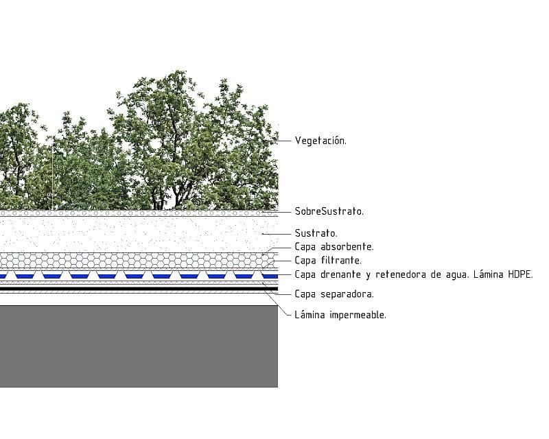 Cubierta vegetal. Sistemas constructivos.