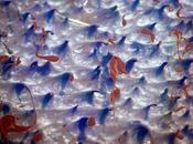 Benjamin Lowy Petróleo sobre agua