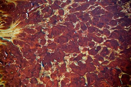 Benjamin Lowy – Petróleo sobre el agua