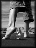 El camino de la comprensión