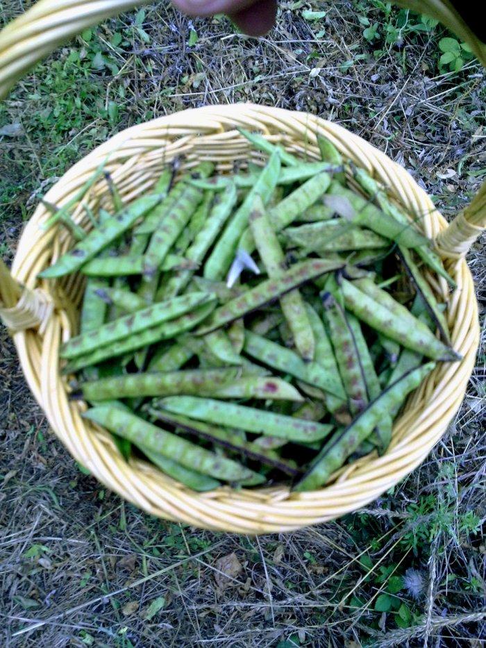 SORPRESAS Y MÁS SORPRESAS...