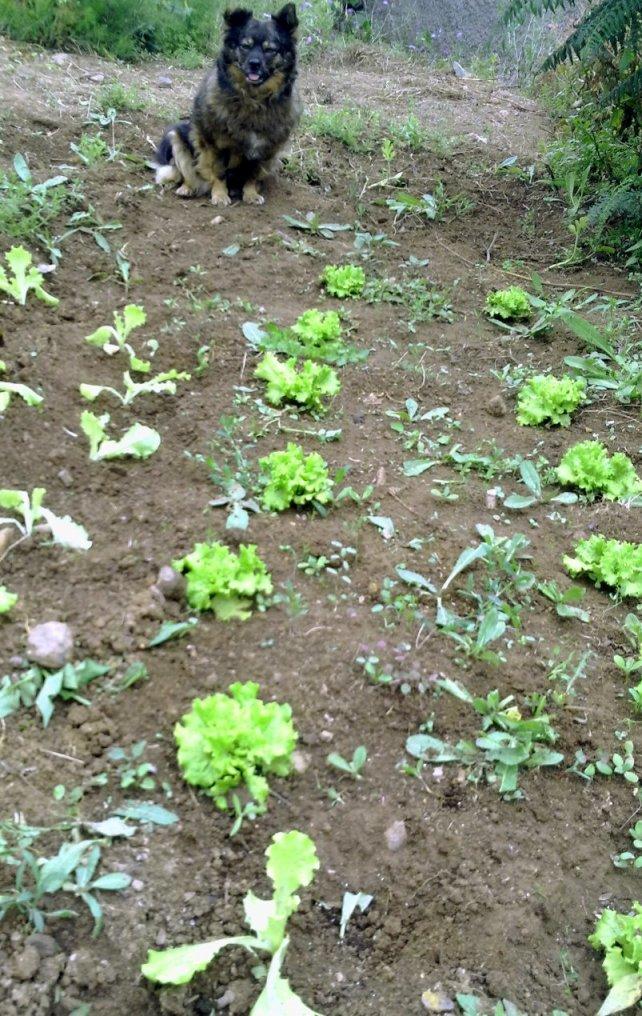 SORPRESAS Y MÁS SORPRESAS...